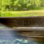 bring dogs-min