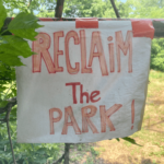 reclaim the park-min